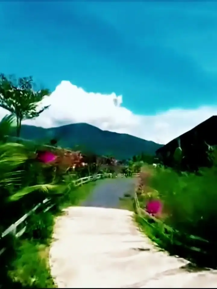 Lối vào làng giữa hoa và cỏ xanh, núi và mây trắng phía xa