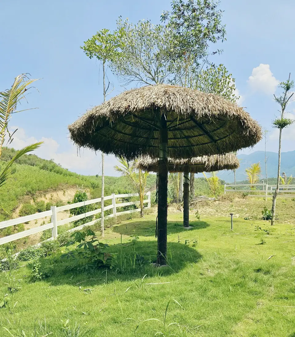 Chòi ngắm thung lũng lúc sương chưa tan